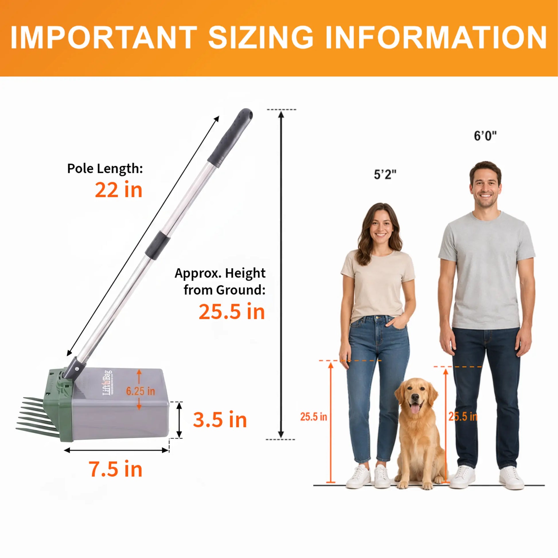 Zeviq No-Touch Scooper 2026